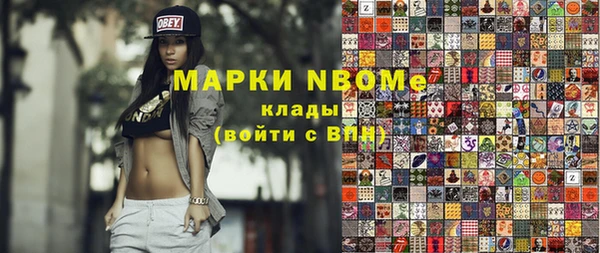 индика Нязепетровск