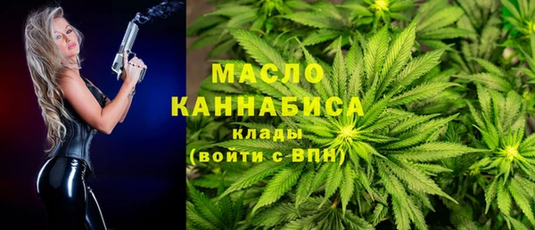 индика Нязепетровск