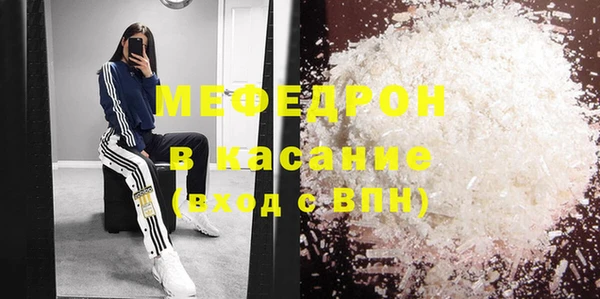 индика Нязепетровск