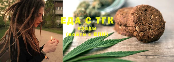 индика Нязепетровск