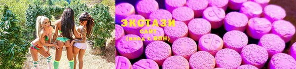 ECSTASY Новокубанск